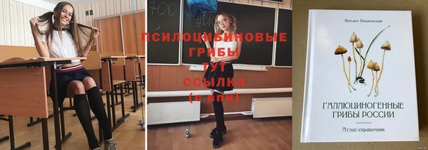 гашик Липки