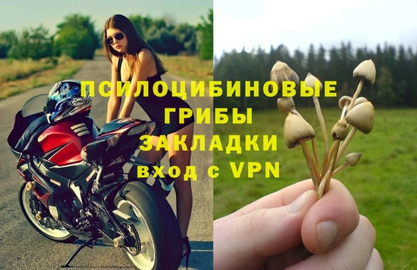 гашик Липки