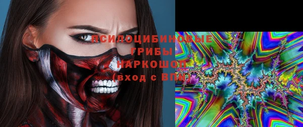 гашик Липки