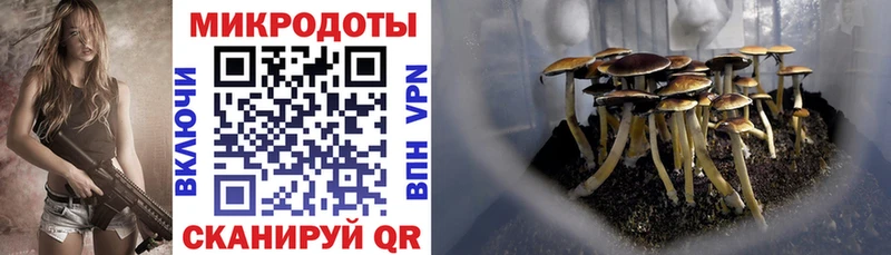 Галлюциногенные грибы GOLDEN TEACHER  Купить закладки  Асбест 